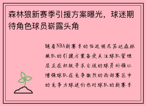 森林狼新赛季引援方案曝光，球迷期待角色球员崭露头角